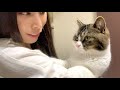 ママの帰宅に大喜びする猫たちが可愛すぎるw