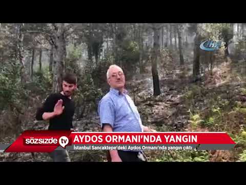 AYDOS ORMANI'NDA YANGIN