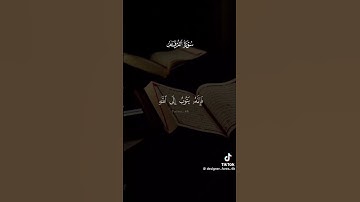 لو تحب القرآن الكريم ضع كل شيء  صلى على النبي ❤️❤️❤️❤️❤️❤️