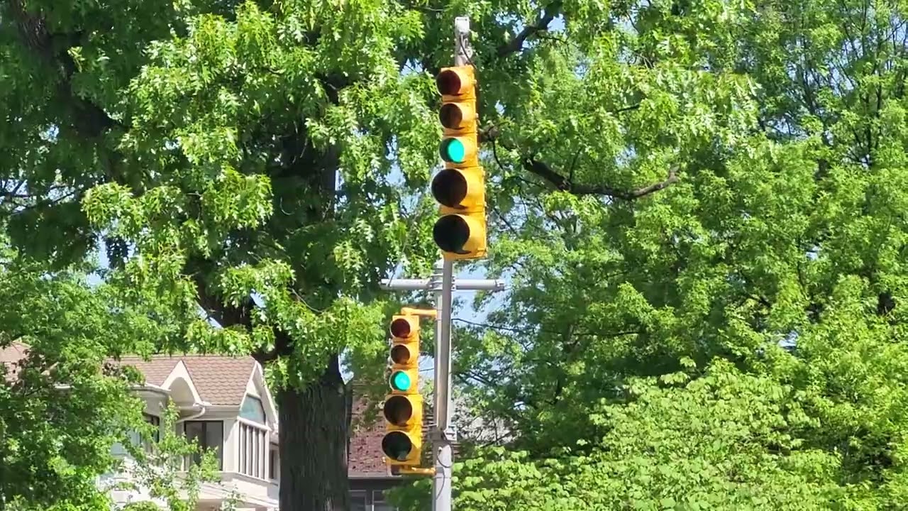 5-section Left Turn Signals on Mast Arm Pole.