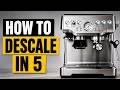 Clean Your Breville in Under 5 Min