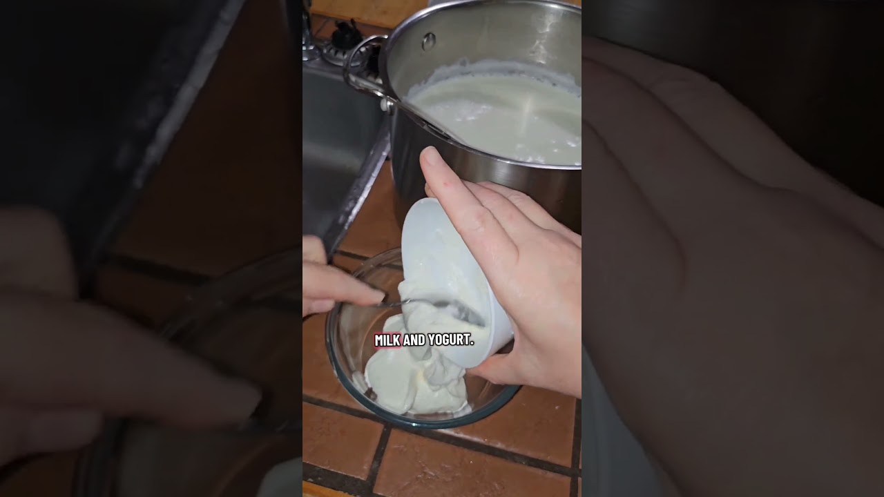 Домашний йогурт: 4 л молока, 225 г йогурта 