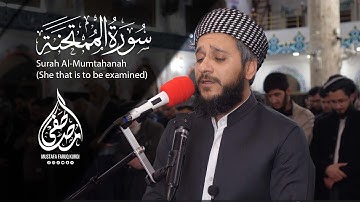 سورة الممتحنة | تلاوة هادئة للقاريء مصطفى فاروق الكردي