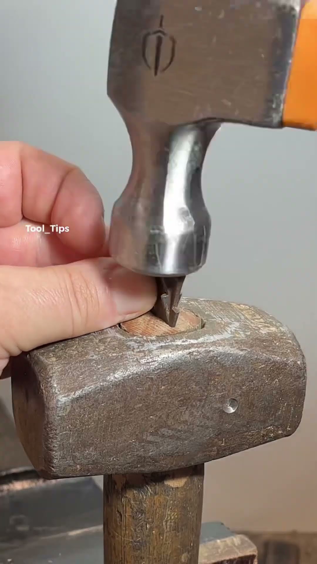 The Tips ?‍♂️