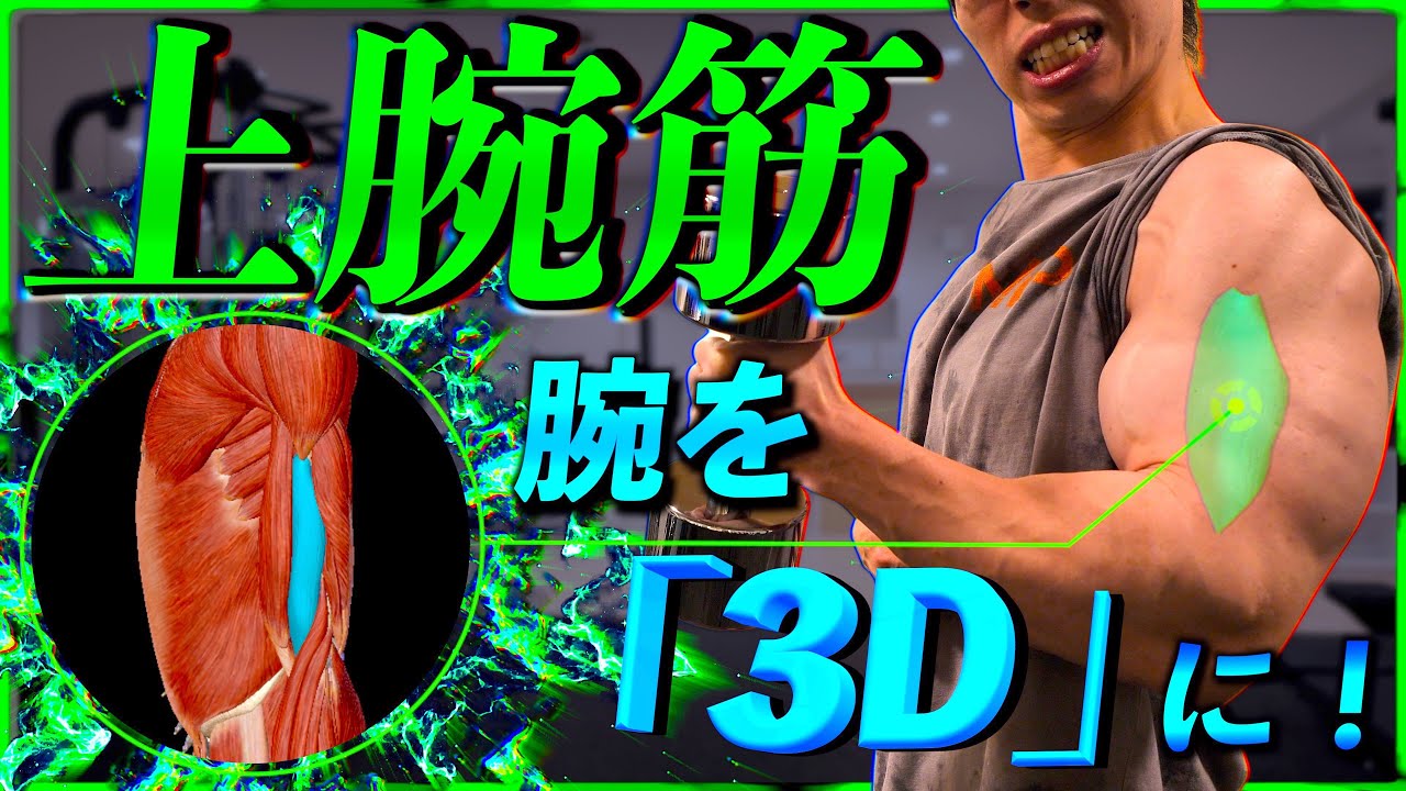 【筋トレ】上腕筋のすべてを置いてきた動画。