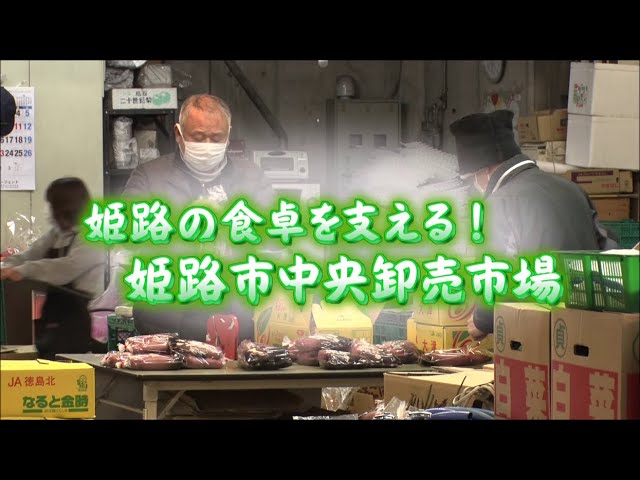 姫路の食卓を支える！姫路市中央卸売市場（姫路のひろば令和4年2月放送