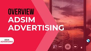 Overview of the AdSim Advertising Business Simulation