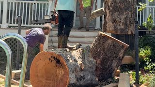 Removing & Craning off 2 Large Trees that fell on a 2 story home  #tree #treeremoval #howto #how