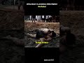 No-Rules Fight: Dirty Boxing Legend vs Amateur MMA Fighter! #MMA #UFC #shorts #fighter #boxing