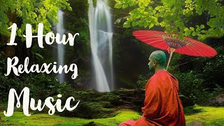 Musik santai | Musik penghilang stres | musik aroma