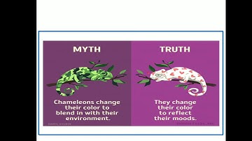 Software Myths and David Hooker Principles