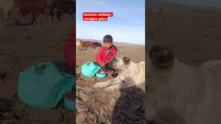 Senmisin Sahibinin Yemeğine Gelen