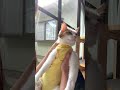 術後ウェア着たら優勝してしまった保護猫ミラ#保護猫ミラ#保護猫との暮らし#猫のいる生活#避妊手術がんばったね#猫好きさんと繋がりたい