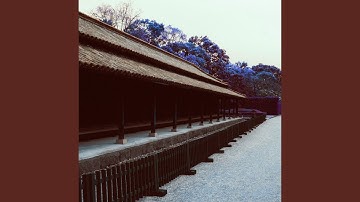 Dashing Ambiance for Vibing