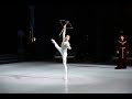 Prince Siegfried Act 1 variation in Swan Lake - Denys Cherevychko