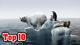 10 Signs That GLOBAL WARMING Is NO LONGER A Debate