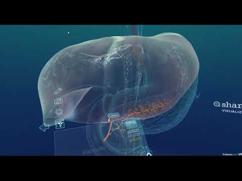 생리학 - VR 이자(췌장) 해부&생리&병리