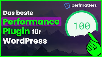 Perfmatters - The best settings for faster WordPress
