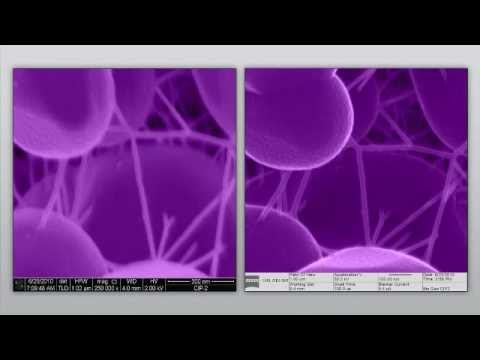 EMSL iDirector Video: Helium Ion Microscope