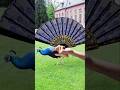 Perfect Things Part 106 Perfect Things Perfectthings Setisfingvideo Aesthetic Part106