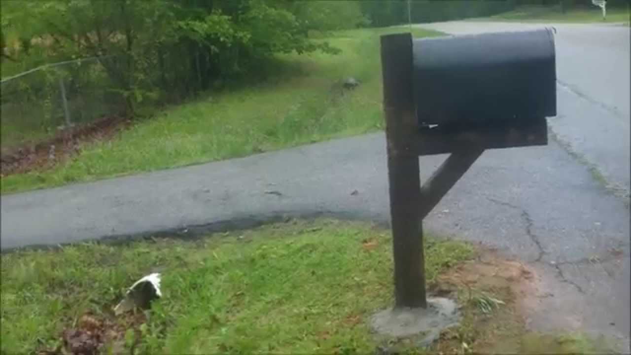 security camera footage Car hitting my Mail box... YouTube