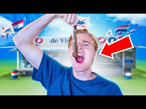 Hoe vraag je een opname bij Stemmen-telt aan?
