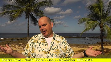 Its not closing its negotiating with the buyer - Scott Sylvan Bell