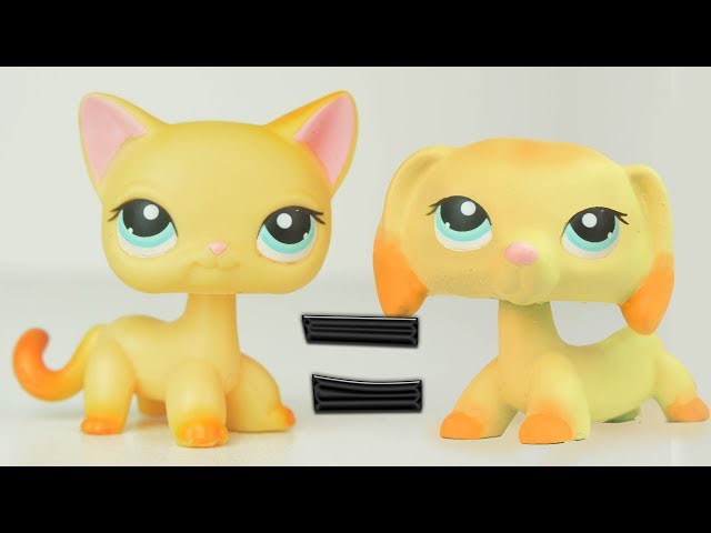 LPS Cat Custom  Custom lps, Lps, Lps dog