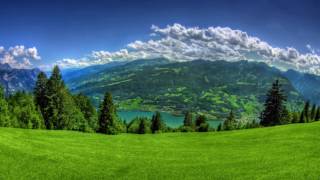 Bir Taphır Gögercinim Kerkük Türküsü Münevver Özdemir