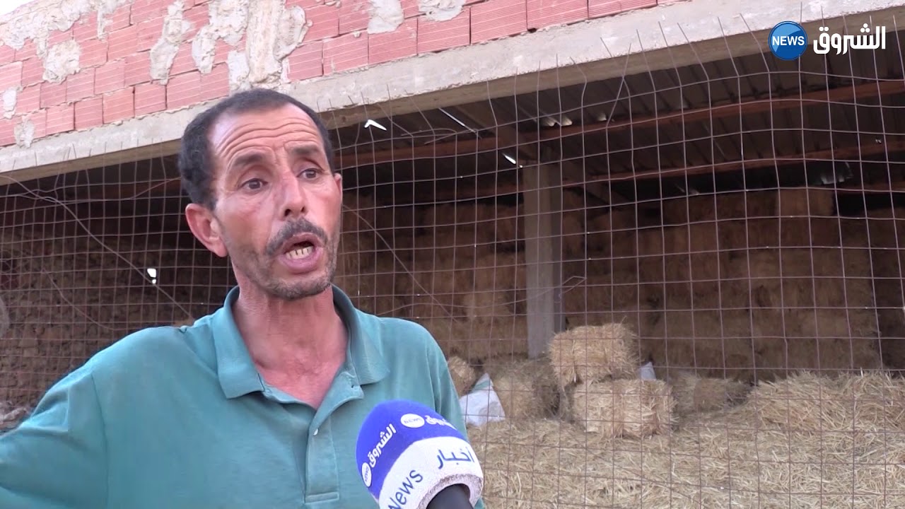 تيارت | القراريش بمدغوسة ..اهتراء الطريق مصدر المشاكل