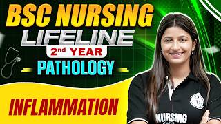 Inflammation Bsc Nursing 2nd year | B.SC Nursing LifeLine | #bscnursing