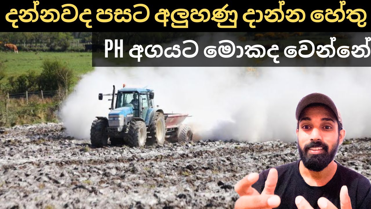 පසට අළුහුණු එකතු කරාම පසේ Ph අගය වෙනස් වෙන්නේ මෙහෙමයි. When lime is added to the soil,