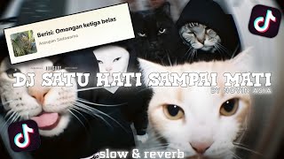 DJ NOVIN ASIA SATU HATI SAMPAI MATI 𝙨𝙤𝙪𝙣𝙙 𝗗𝗼𝗰𝘁𝗼𝗿𝗪𝗮𝘃𝗲 || slow & reverb🎧