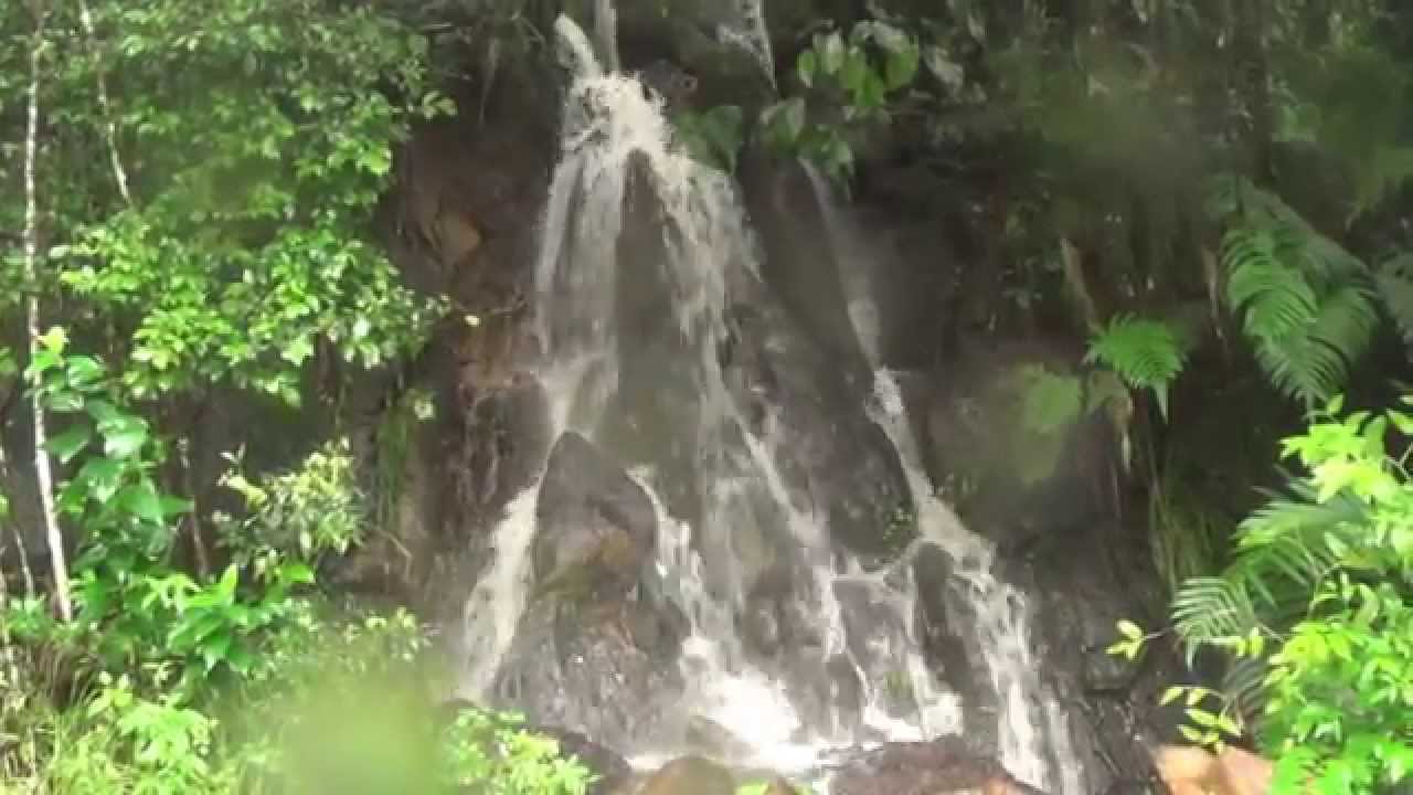 La Sierra Margarita YouTube