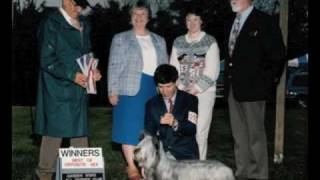 Remembering Donna