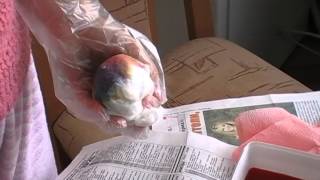 Painted Easter Eggs In Bulgaria