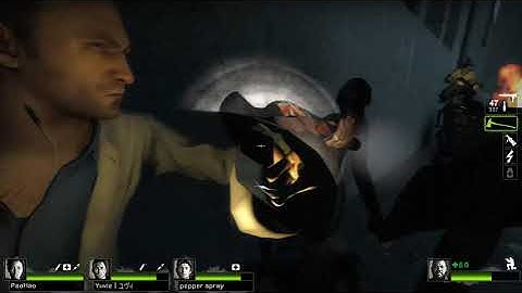 Left 4 Dead 2 Deadenator Expert Realism