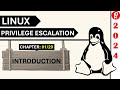 Linux privilege escalation 2024  c 129  fundamentals  basics  pentesthint