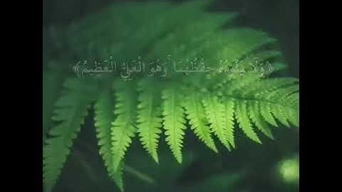 آية الكرسي للقارئ عبدالله الموسى