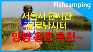 #주말낚시 #캠핑낚시 #우중낚시캠핑 1탄~! 서울서 한시간 무료낚시터 경기도 양평 용문 흑천~!!