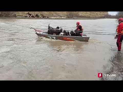 სოფელ ქვახვრელთან უხვი ნალექის გამო წარმოქმნილი კუნძულიდან მაშველებს წვრილფეხა პირუტყვი გამოჰყავთ