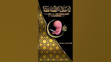 سورة المؤمنون