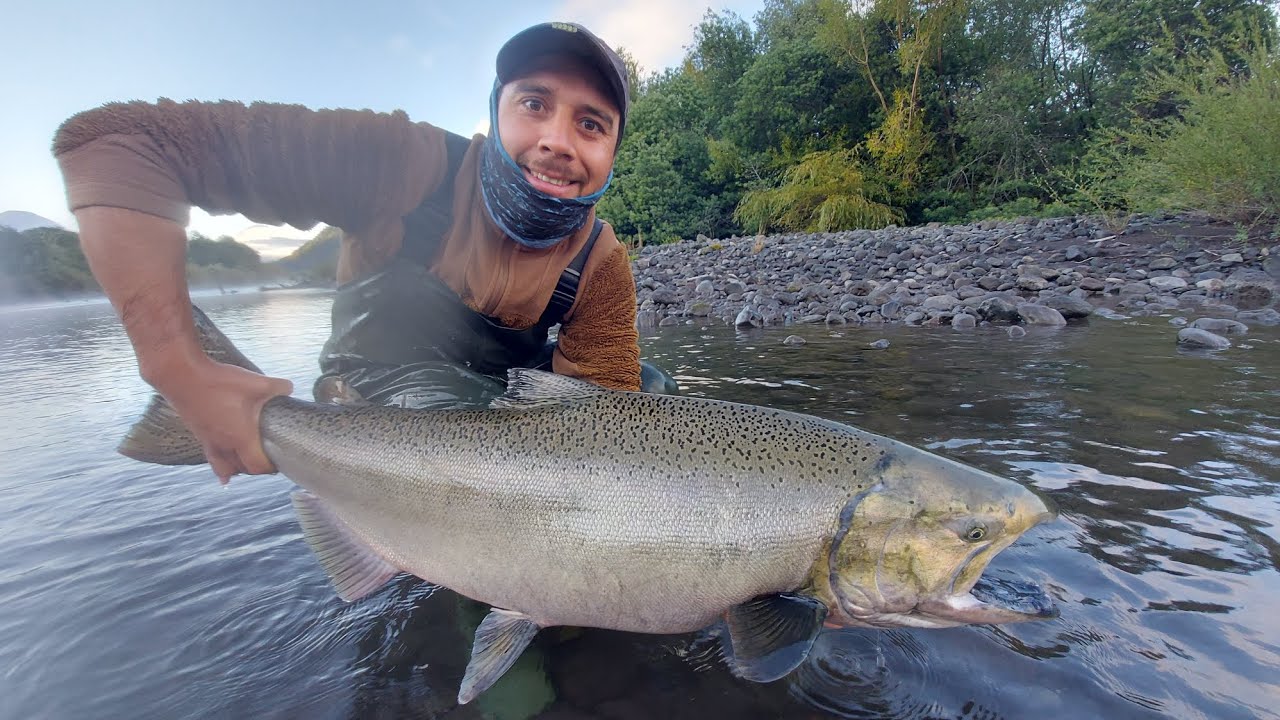 Pesca de chinook en río petrohué 2023 #pescadeportiva #Pescaparralchile
