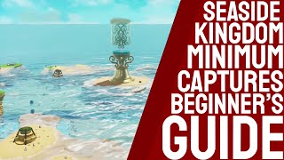 Mario Odyssey Seaside Kingdom Minimum Captures Guide