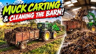 Cleaning Out Months of Muck From the Cattle Barn!