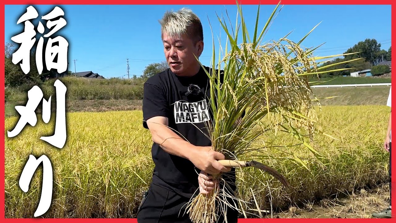 お酒を作るために稲刈りをするホリエモンに密着しました
