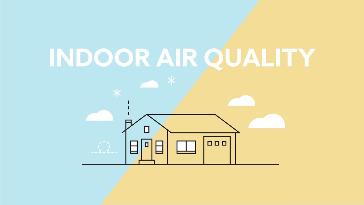 Indoor Air Quality 101 | Causes, Effects and Solutions