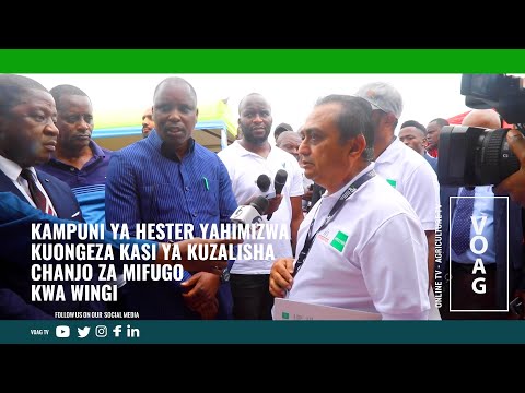 Video: Monsters kidogo: wauaji wanne wa vurugu zaidi katika historia