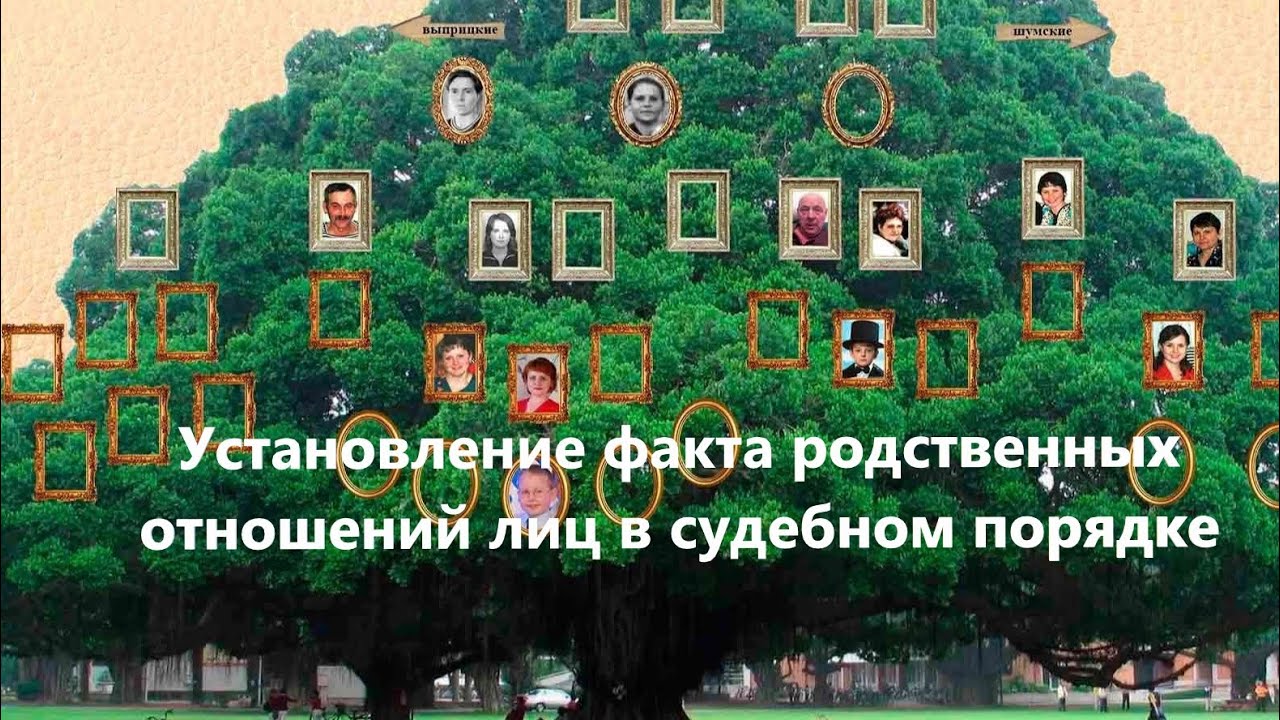 Составление заявления об установлении факта родственных отношений - YouTube