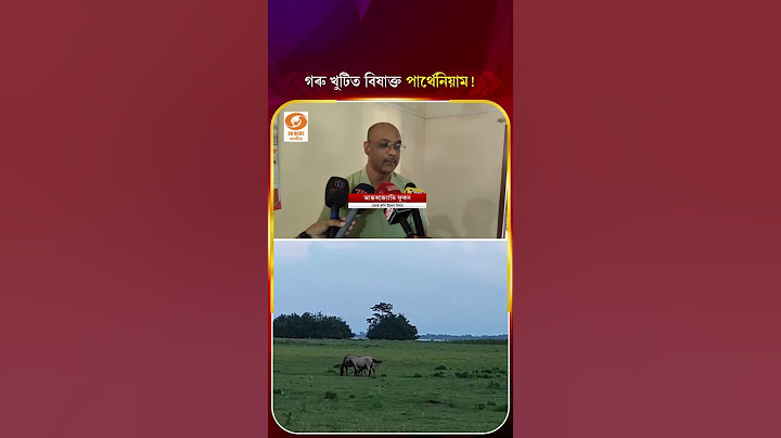 মাজুলীৰ টিকিৰাই চাপৰিৰ প্ৰায় ডেৰশৰো অধিক গৰু খুঁটিত বিষাক্ত পাৰ্থেনিয়াম গজি উঠা দেখা গৈছে